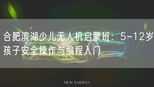 合肥滨湖少儿无人机启蒙班:5-12岁孩子安全操作与编程入门