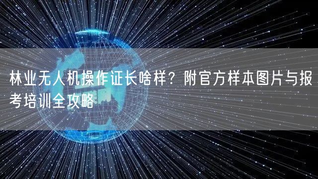 林业无人机操作证长啥样?附官方样本图片与报考培训全攻略