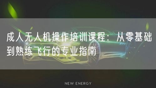 成人无人机操作培训课程:从零基础到熟练飞行的专业指南