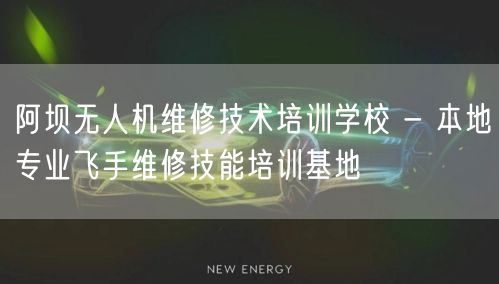 阿坝无人机维修技术培训学校 - 本地专业飞手维修技能培训基地