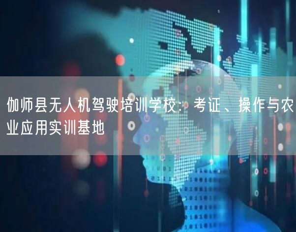 伽师县无人机驾驶培训学校：考证、操作与农业应用实训基地