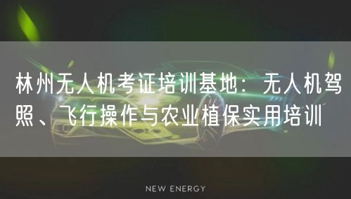 林州无人机考证培训基地:无人机驾照、飞行操作与农业植保实用培训