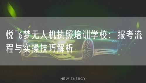 悦飞梦无人机执照培训学校:报考流程与实操技巧解析