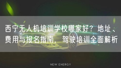 西宁无人机培训学校哪家好?地址、费用与报名指南,驾驶培训全面解析