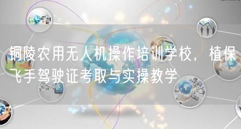 铜陵农用无人机操作培训学校,植保飞手驾驶证考取与实操教学 铜陵农用无人机操作培训学校,植保飞手驾驶证考取与实操教学