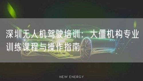 深圳无人机驾驶培训:大僵机构专业训练课程与操作指南