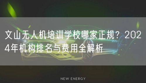 文山无人机培训学校哪家正规？2024年机构排名与费用全解析