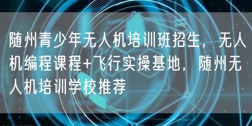 随州青少年无人机培训班招生,无人机编程课程+飞行实操基地,随州无人机培训学校推荐