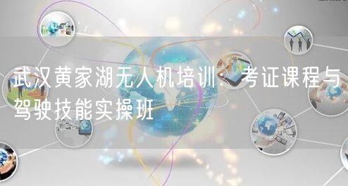 武汉黄家湖无人机培训:考证课程与驾驶技能实操班