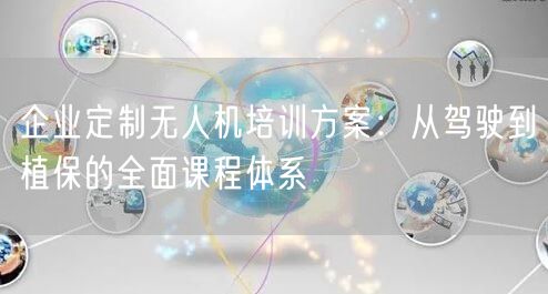 企业定制无人机培训方案:从驾驶到植保的全面课程体系