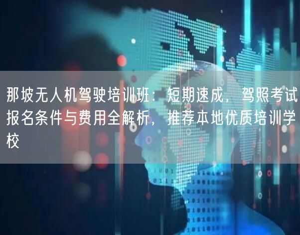 那坡无人机驾驶培训班:短期速成,驾照考试报名条件与费用全解析,推荐本地优质培训学校