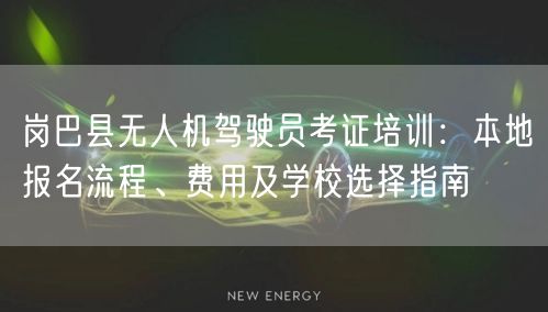 岗巴县无人机驾驶员考证培训:本地报名流程、费用及学校选择指南