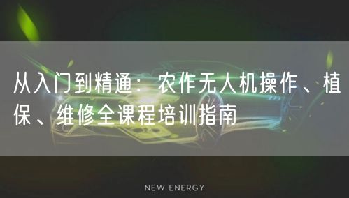 从入门到精通:农作无人机操作、植保、维修全课程培训指南 从入门到精通:农作无人机操作、植保、维修全课程培训指南