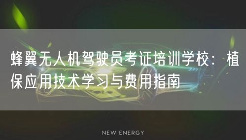 蜂翼无人机驾驶员考证培训学校:植保应用技术学习与费用指南 蜂翼无人机驾驶员考证培训学校:植保应用技术学习与费用指南