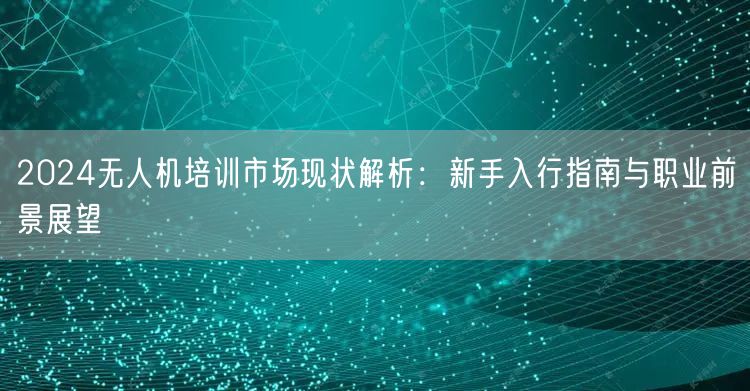 2024无人机培训市场现状解析:新手入行指南与职业前景展望