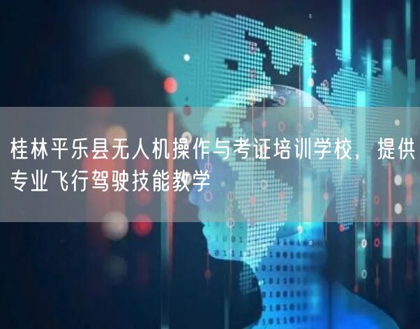 桂林平乐县无人机操作与考证培训学校,提供专业飞行驾驶技能教学 桂林平乐县无人机操作与考证培训学校,提供专业飞行驾驶技能教学