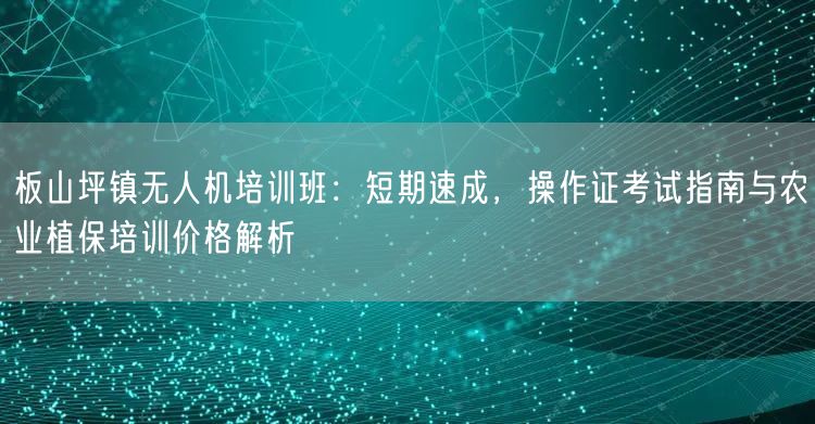 板山坪镇无人机培训班:短期速成,操作证考试指南与农业植保培训价格解析