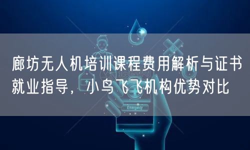 廊坊无人机培训课程费用解析与证书就业指导，小鸟飞飞机构优势对比