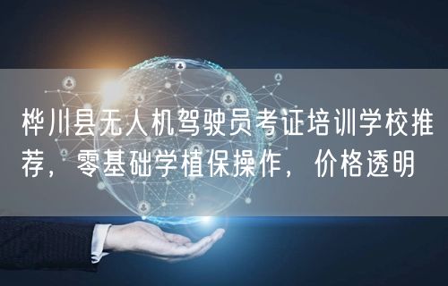 桦川县无人机驾驶员考证培训学校推荐,零基础学植保操作,价格透明 桦川县无人机驾驶员考证培训学校推荐,零基础学植保操作,价格透明