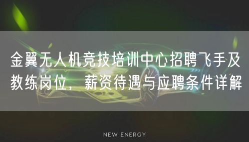 金翼无人机竞技培训中心招聘飞手及教练岗位，薪资待遇与应聘条件详解