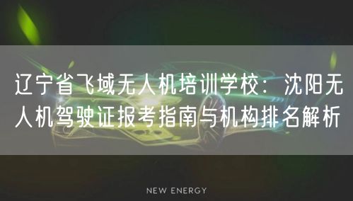 辽宁省飞域无人机培训学校：沈阳无人机驾驶证报考指南与机构排名解析