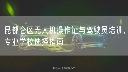 昆都仑区无人机操作证与驾驶员培训,专业学校选择指南 昆都仑区无人机操作证与驾驶员培训,专业学校选择指南