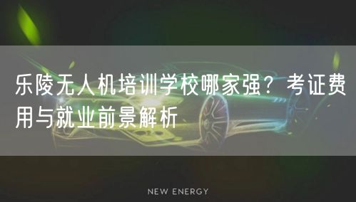 乐陵无人机培训学校哪家强？考证费用与就业前景解析